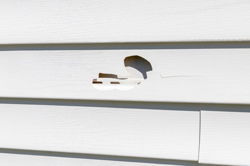 Replacing Damaged Siding